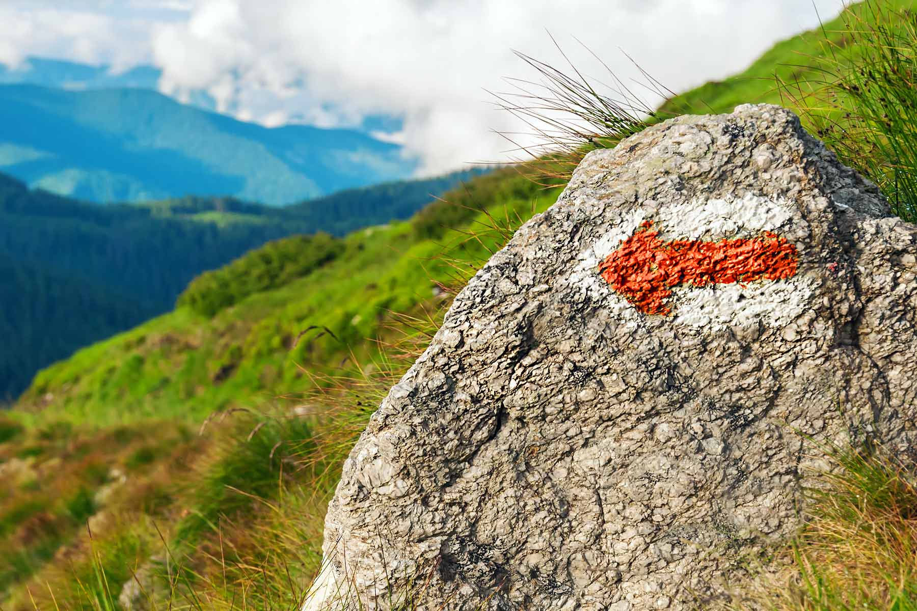 Wegweisend (Bild: Vovashevchuk / iStock)