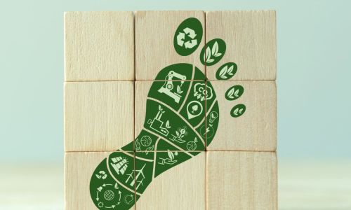 Co2- Fussabdruck (Bild: freepik)